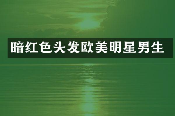 暗红色头发欧美明星男生