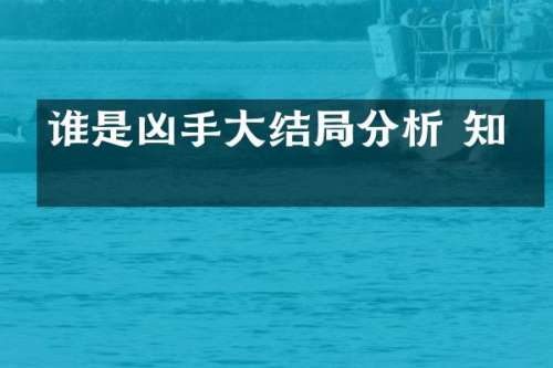 谁是凶手大结局分析 知乎