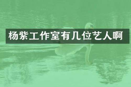 杨紫工作室有几位艺人啊
