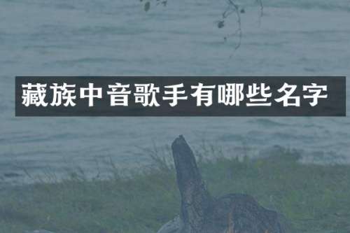 藏族中音歌手有哪些名字