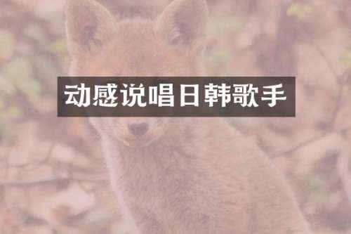 动感说唱日韩歌手