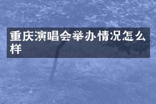 重庆演唱会举办情况怎么样