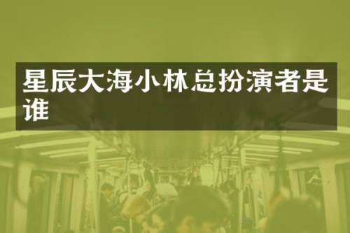 星辰大海小林总扮演者是谁