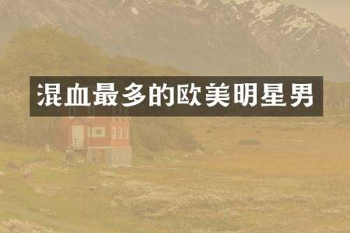 混血最多的欧美明星男