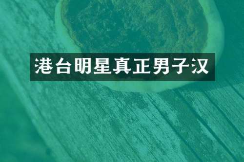 港台明星真正男子汉