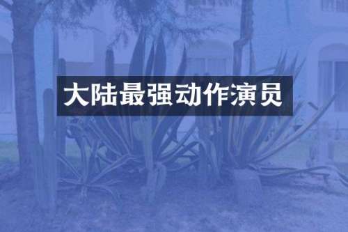 大陆最强动作演员