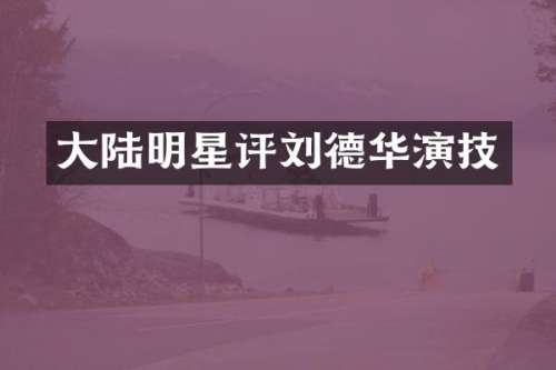 大陆明星评刘德华演技