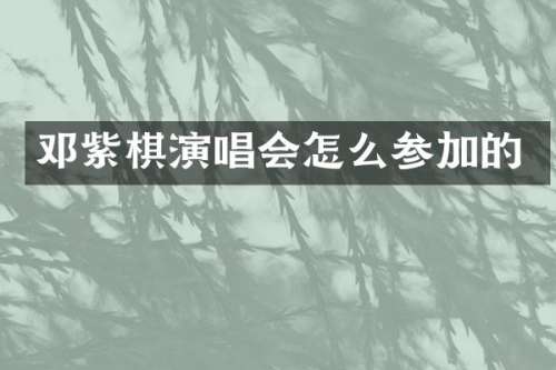 邓紫棋演唱会怎么参加的