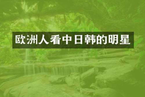 欧洲人看中日韩的明星