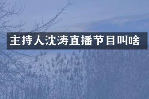主持人沈涛直播节目叫啥