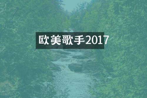 欧美歌手2017