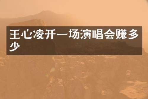 王心凌开一场演唱会赚多少
