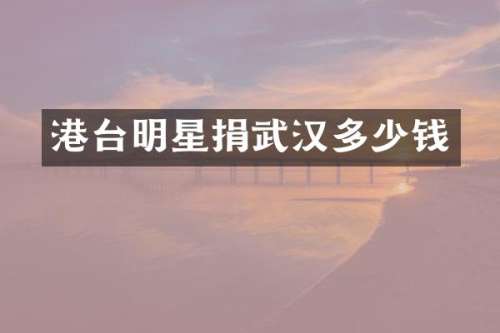 港台明星捐武汉多少钱