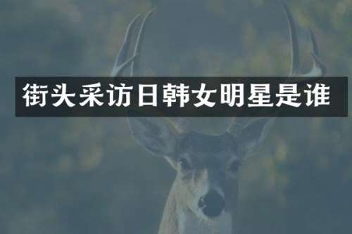 街头采访日韩女明星是谁