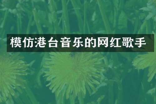 模仿港台音乐的网红歌手