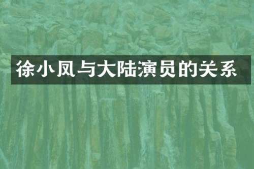 徐小凤与大陆演员的关系