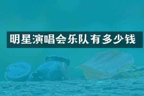 明星演唱会乐队有多少钱