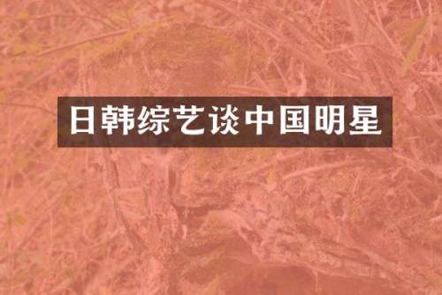 日韩综艺谈中国明星
