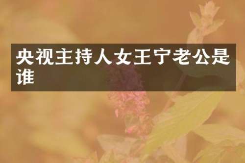 央视主持人女王宁老公是谁