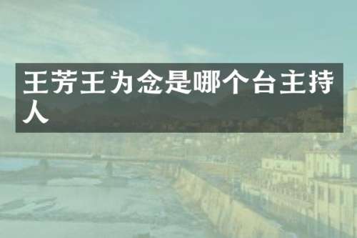 王芳王为念是哪个台主持人