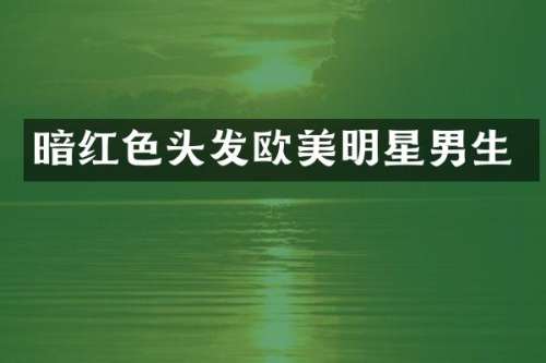 暗红色头发欧美明星男生