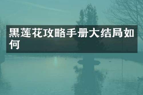黑莲花攻略手册大结局如何