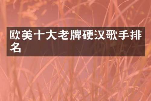 欧美十大老牌硬汉歌手排名