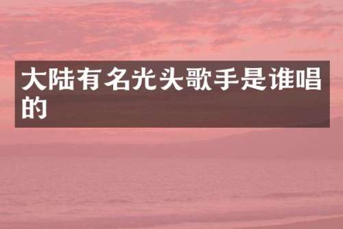 大陆有名光头歌手是谁唱的