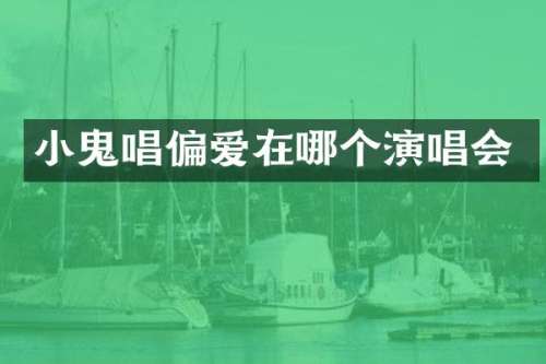 小鬼唱偏爱在哪个演唱会