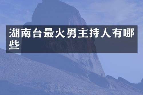 湖南台最火男主持人有哪些