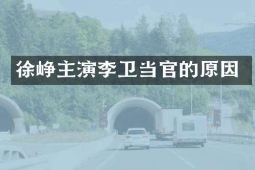 徐峥主演李卫当官的原因