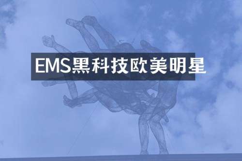 EMS黑科技欧美明星