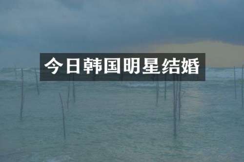 今日韩国明星结婚