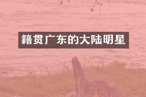 籍贯广东的大陆明星