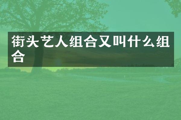 街头艺人组合又叫什么组合
