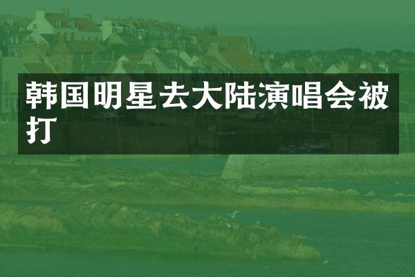 韩国明星去大陆演唱会被打