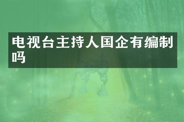 电视台主持人国企有编制吗