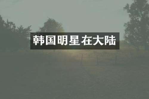 韩国明星在大陆