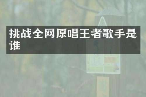 挑战全网原唱王者歌手是谁