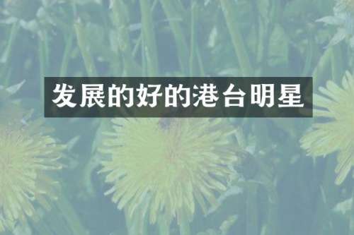发展的好的港台明星