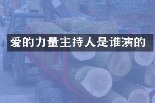 爱的力量主持人是谁演的