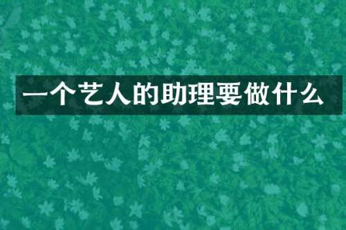 一个艺人的助理要做什么
