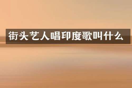 街头艺人唱印度歌叫什么