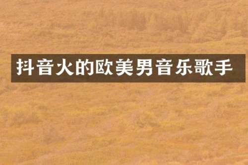 抖音火的欧美男音乐歌手