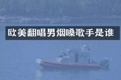 欧美翻唱男烟嗓歌手是谁