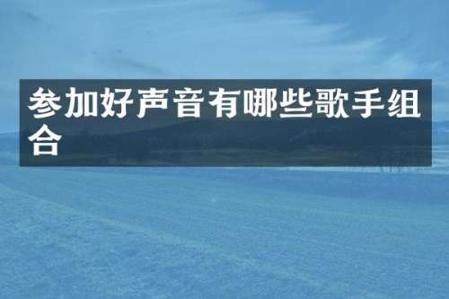参加好声音有哪些歌手组合