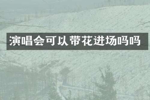 演唱会可以带花进场吗吗