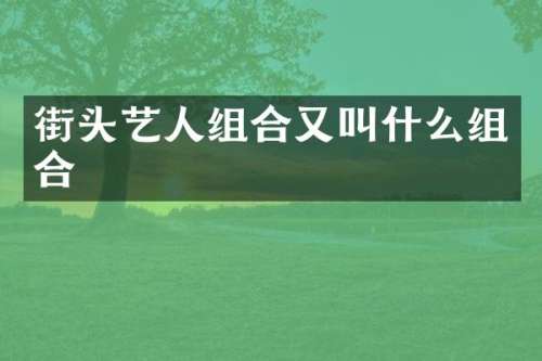 街头艺人组合又叫什么组合
