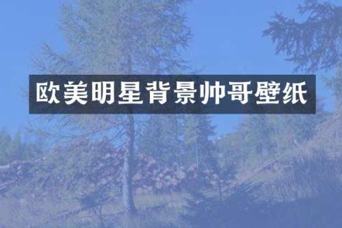 欧美明星背景帅哥壁纸
