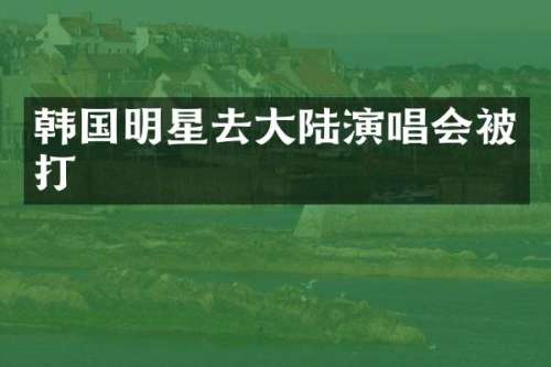 韩国明星去大陆演唱会被打